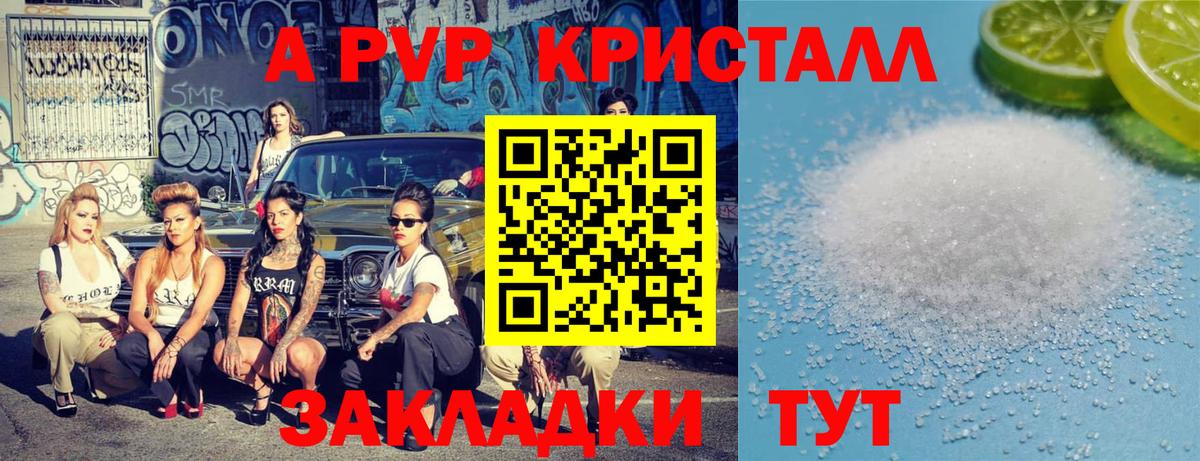 Альфа ПВП СК КРИС Будённовск