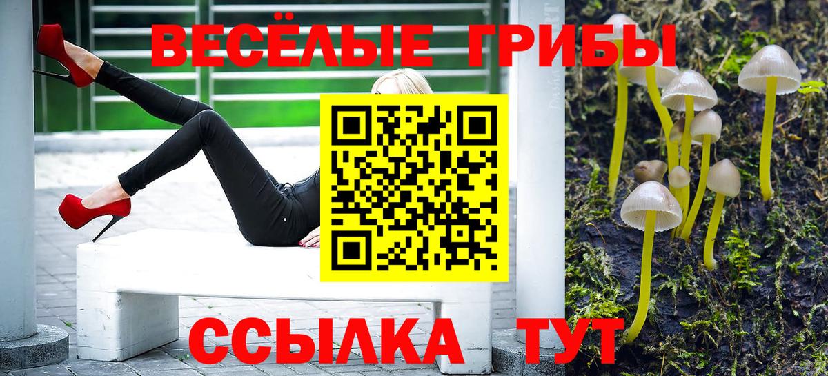 Псилоцибиновые грибы Cubensis  Псилоцибиновые грибы мухоморы  Будённовск  Вход с VPN 